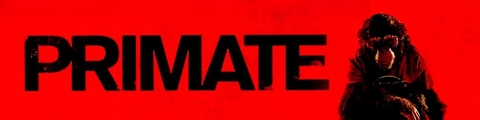 Primate