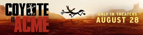 Coyote vs  Acme