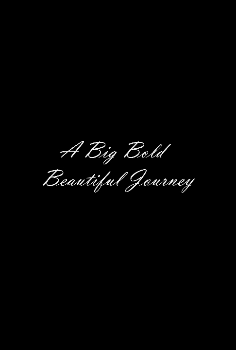 poster for A Big Bold Beautiful Journey