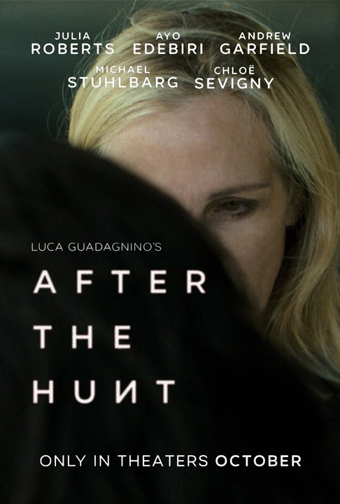 poster for After the Hunt