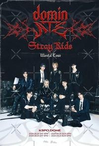 Stray Kids: The dominATE Experience