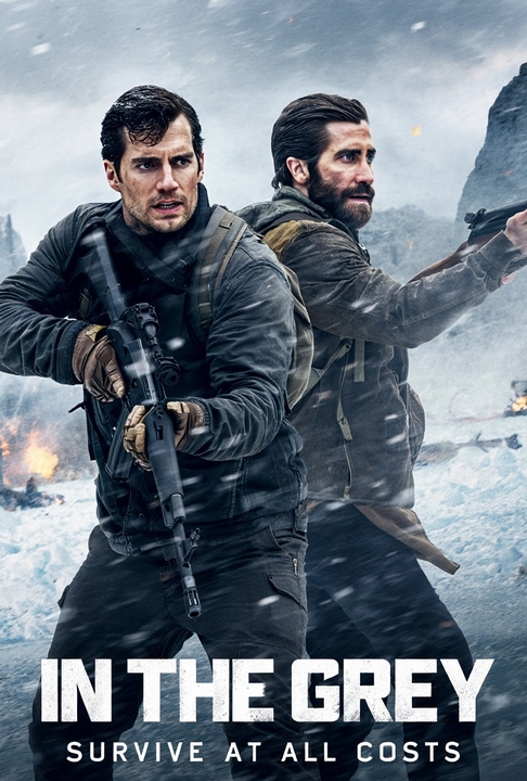 poster for In the Grey